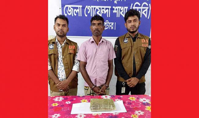 লালপুরে গাজার ব্যবসায়ী আটক