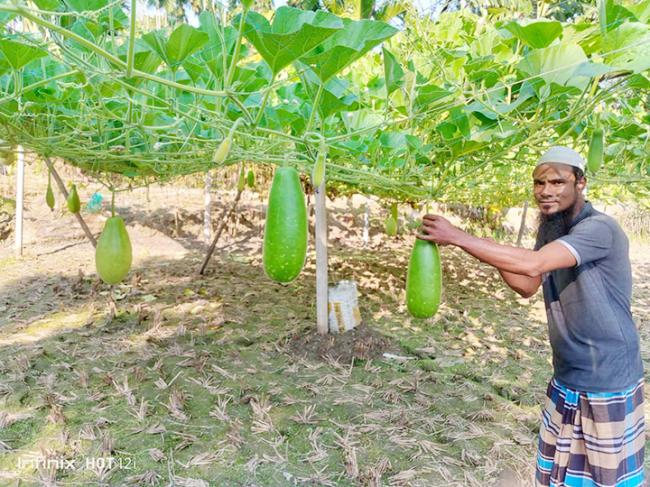---