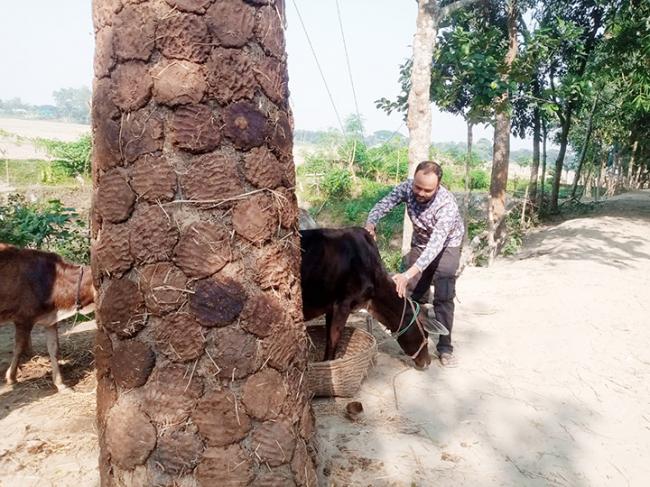 ---