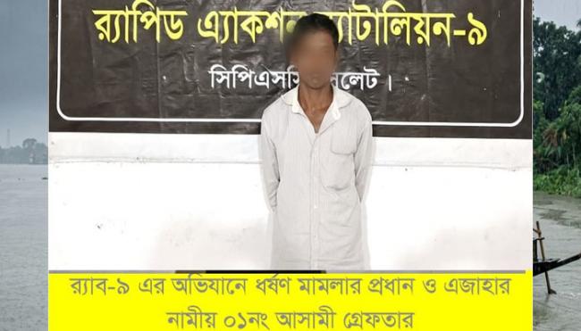 অভিযুক্ত প্রধান আসামি  আসামি মোঃ হাবিবক (৩৫)